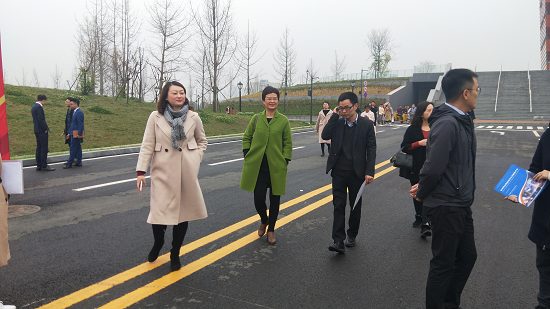 双选会2.png